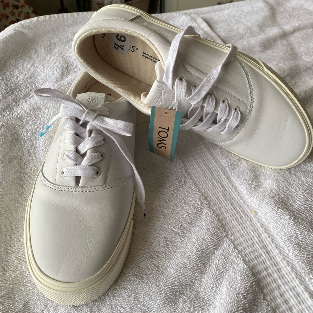 TOMS